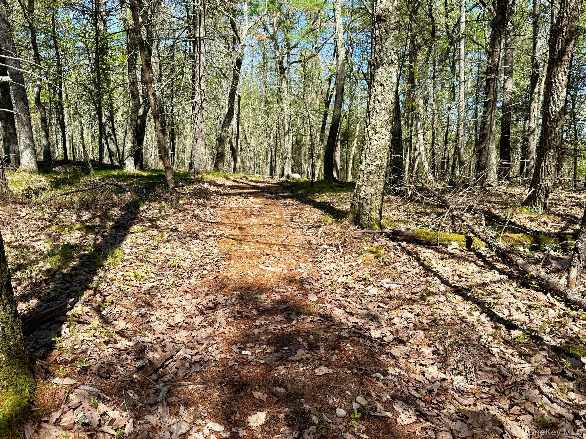 0 Smith Hughes Road Highland, NY 12528 - Photo 27 of 43 a pathway of a yard