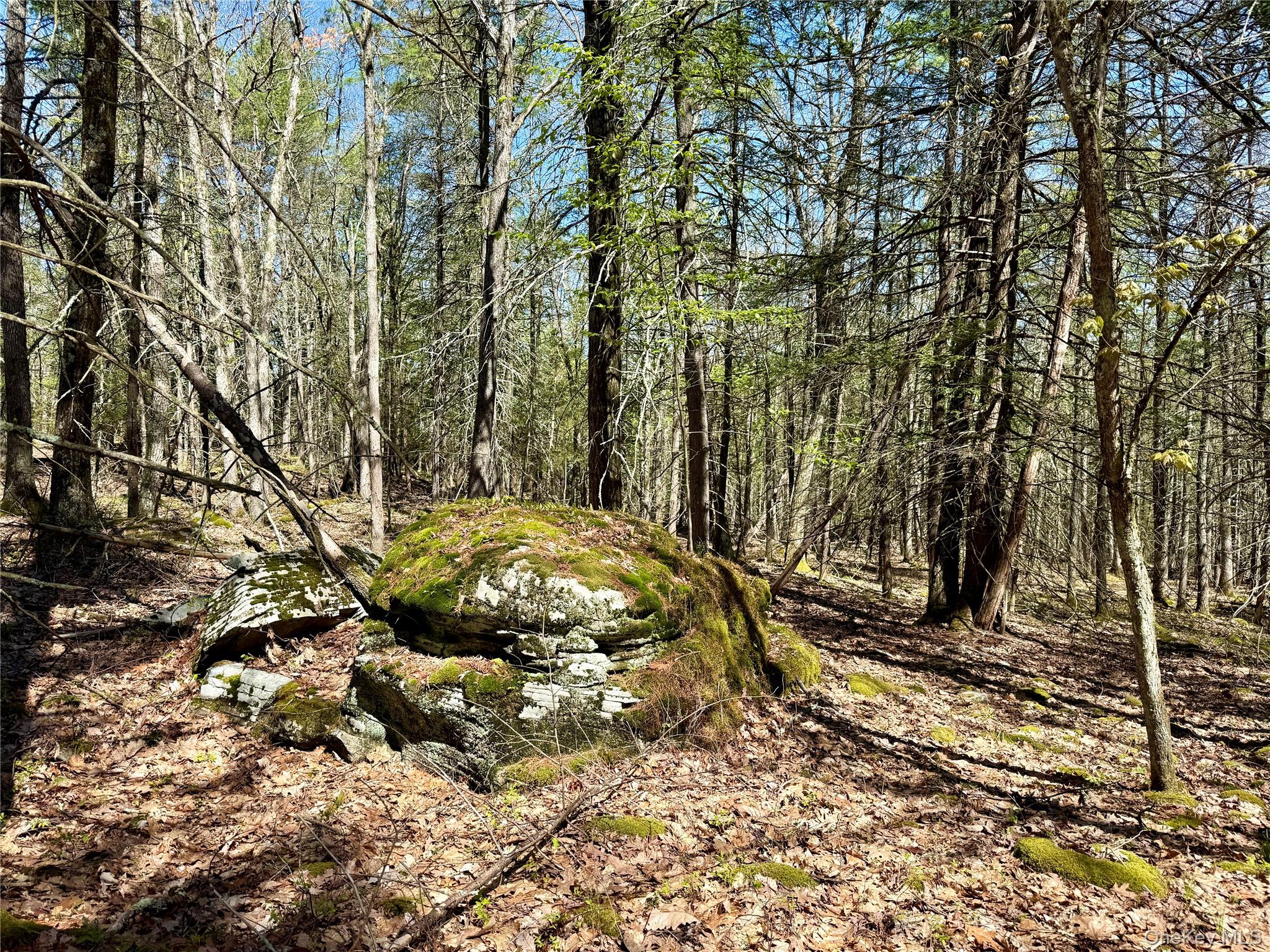 0 Smith Hughes Road Highland, NY 12528 - Photo 28 of 43 a view of outdoor space