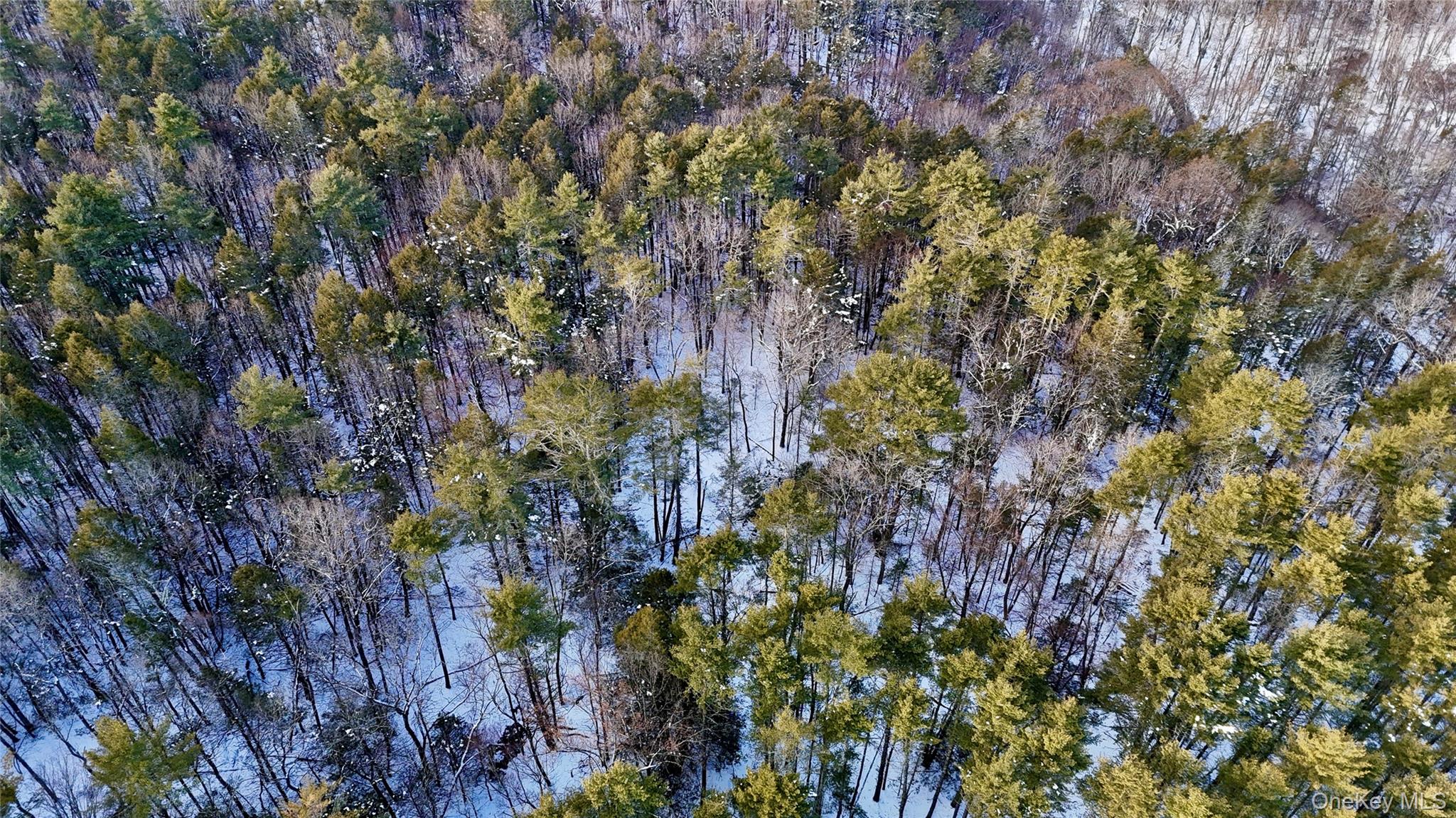 0 Smith Hughes Road Highland, NY 12528 - Photo 33 of 43 a view of a yard with a tree