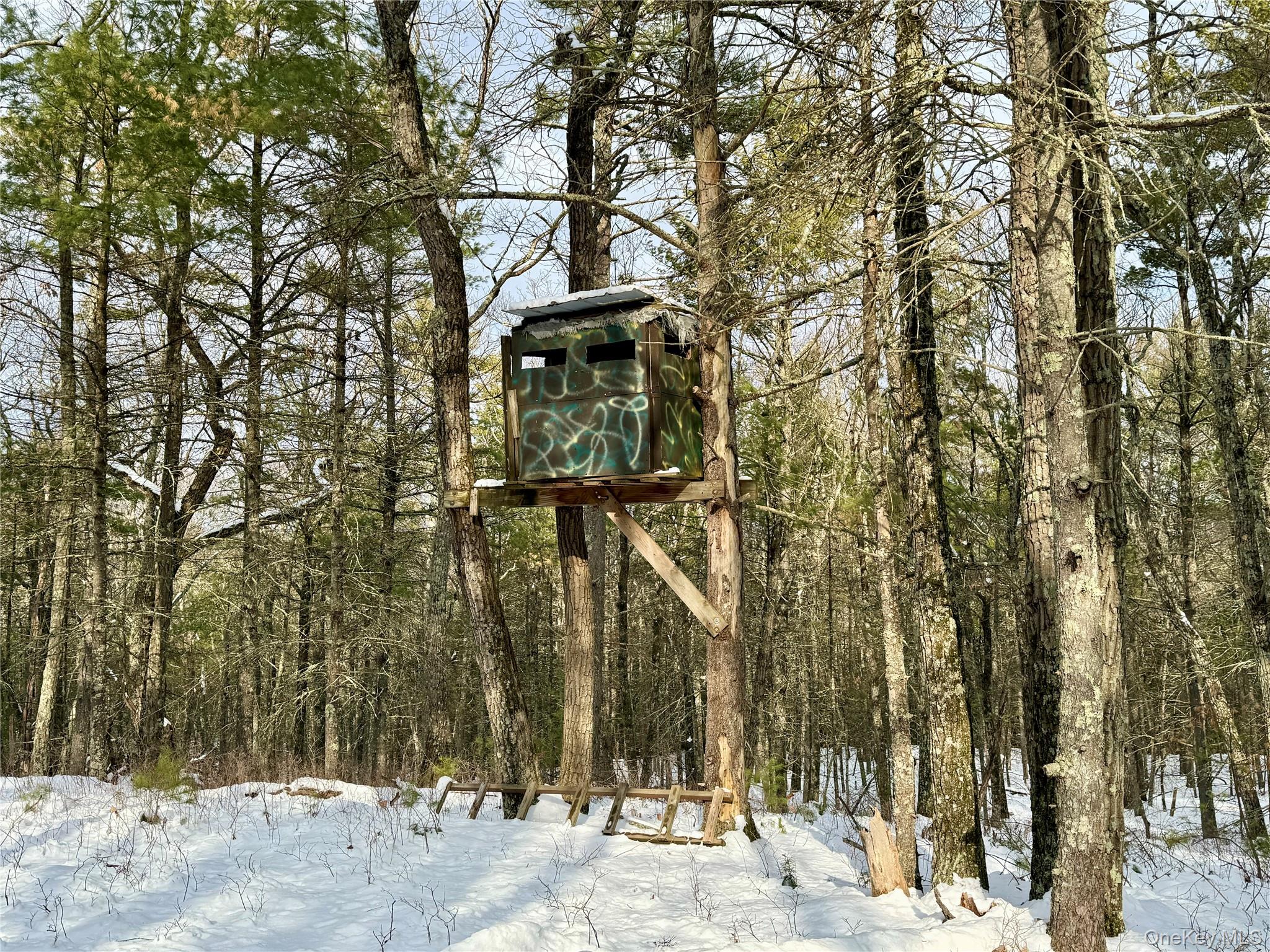 0 Smith Hughes Road Highland, NY 12528 - Photo 34 of 43 a backyard of a house with a tree