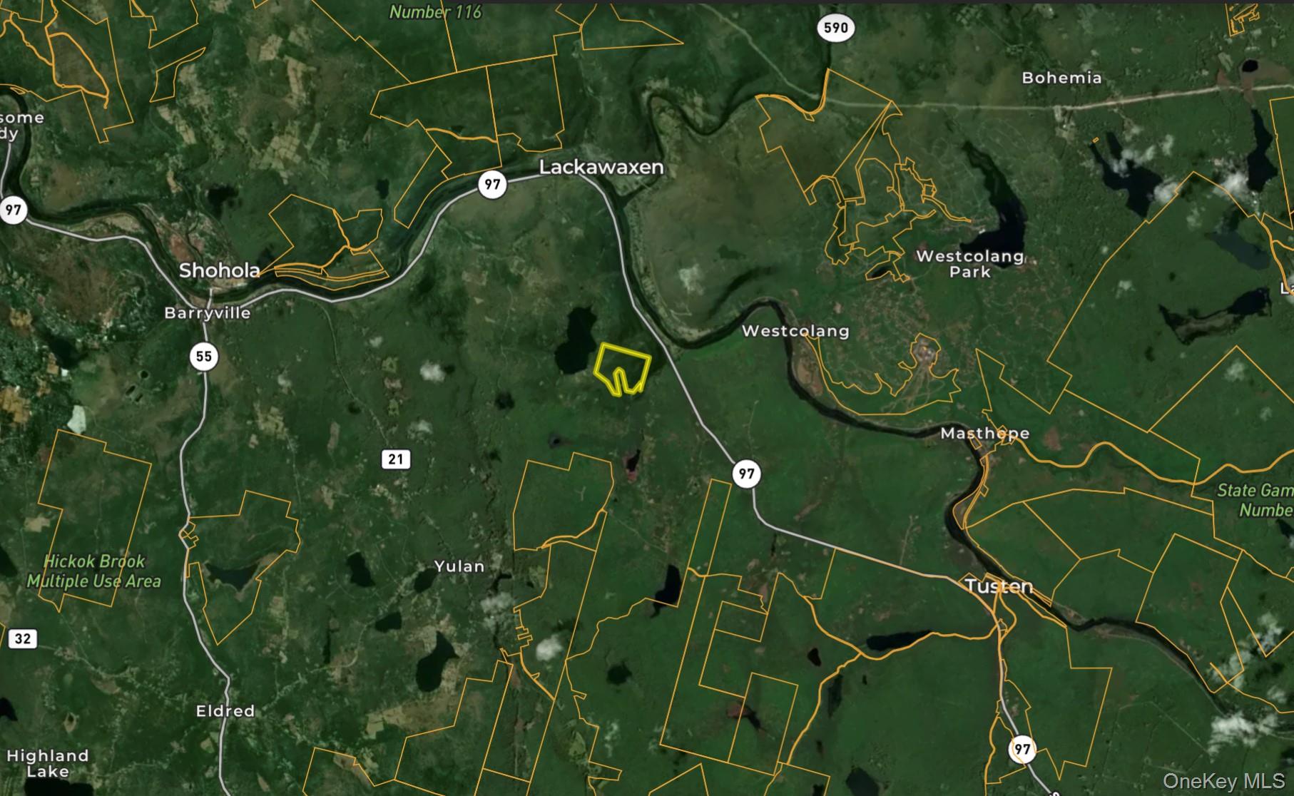 0 Smith Hughes Road Highland, NY 12528 - Photo 43 of 43 a view of a plant