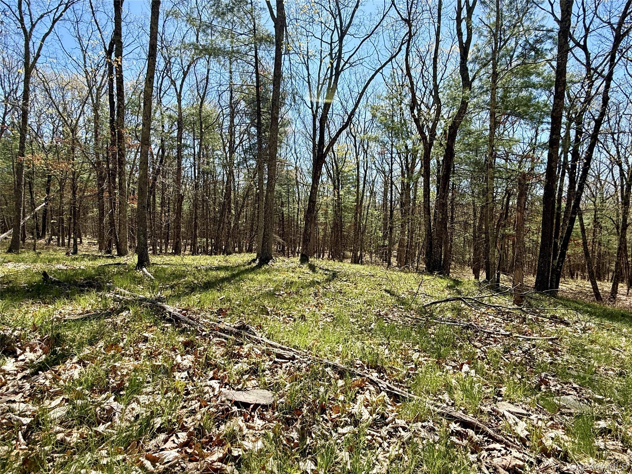 0 Smith Hughes Road Highland, NY 12528 - Photo 8 of 43 a view of a yard with plants and trees