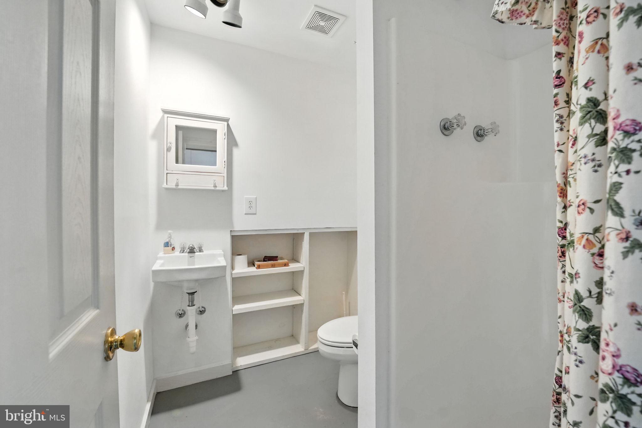 12564 Eggbornsville Road Culpeper, VA 22701 - Photo 51 of 62 a bathroom with a sink a toilet and shower