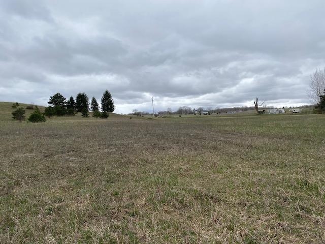 V/l Clous Road Kingsley, MI 49649 - Photo 17 of 17