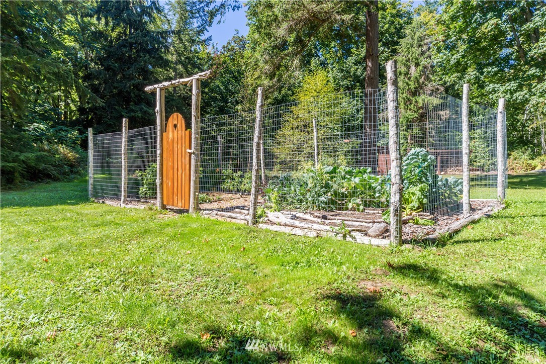 884 McDonald Road, Unit EXT Quilcene, WA 98376 - Photo 31 of 38 a view of a backyard with plants and large trees