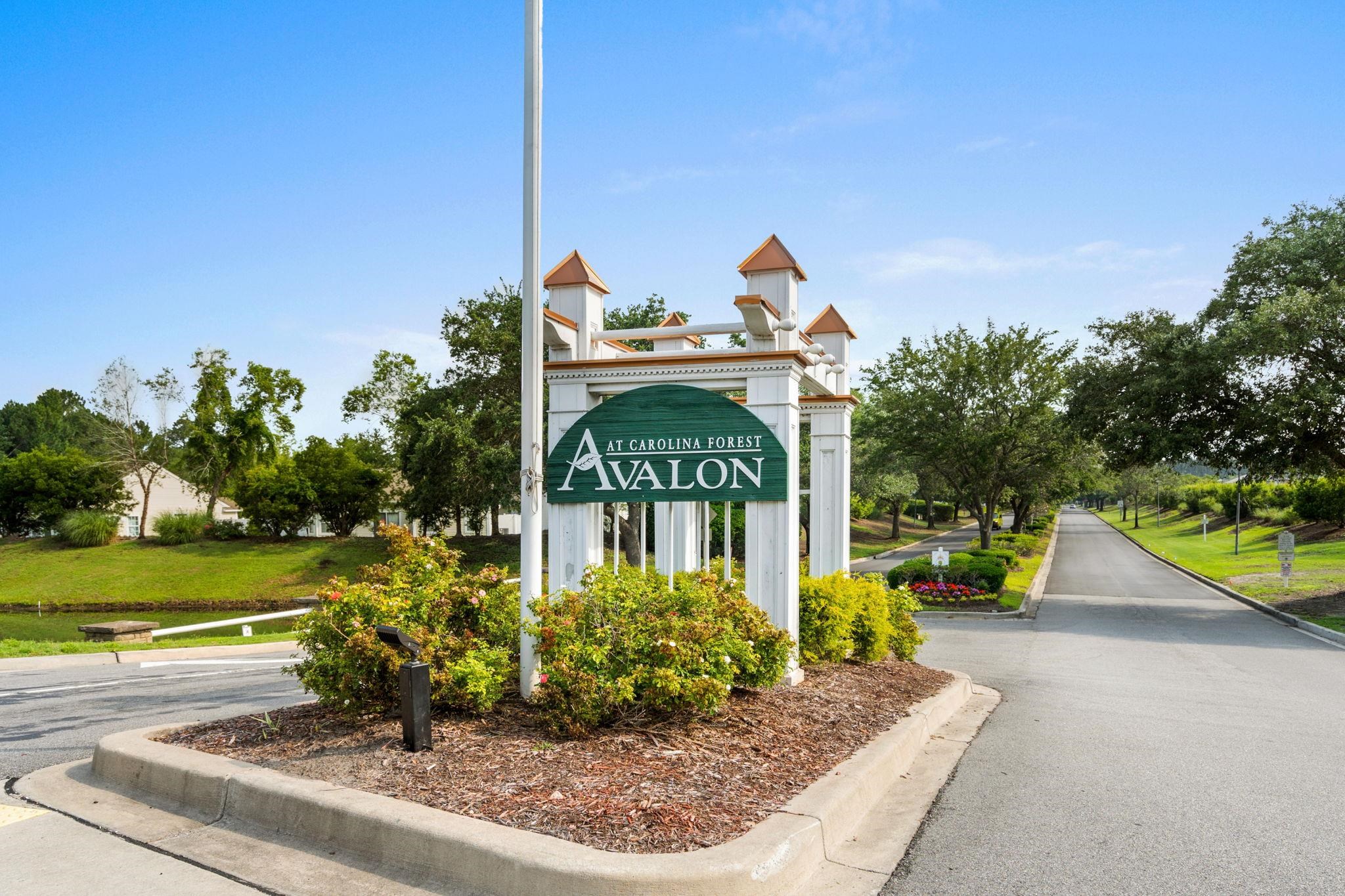 228 Bittersweet Lane Myrtle Beach, SC 29579 - Photo 55 of 56