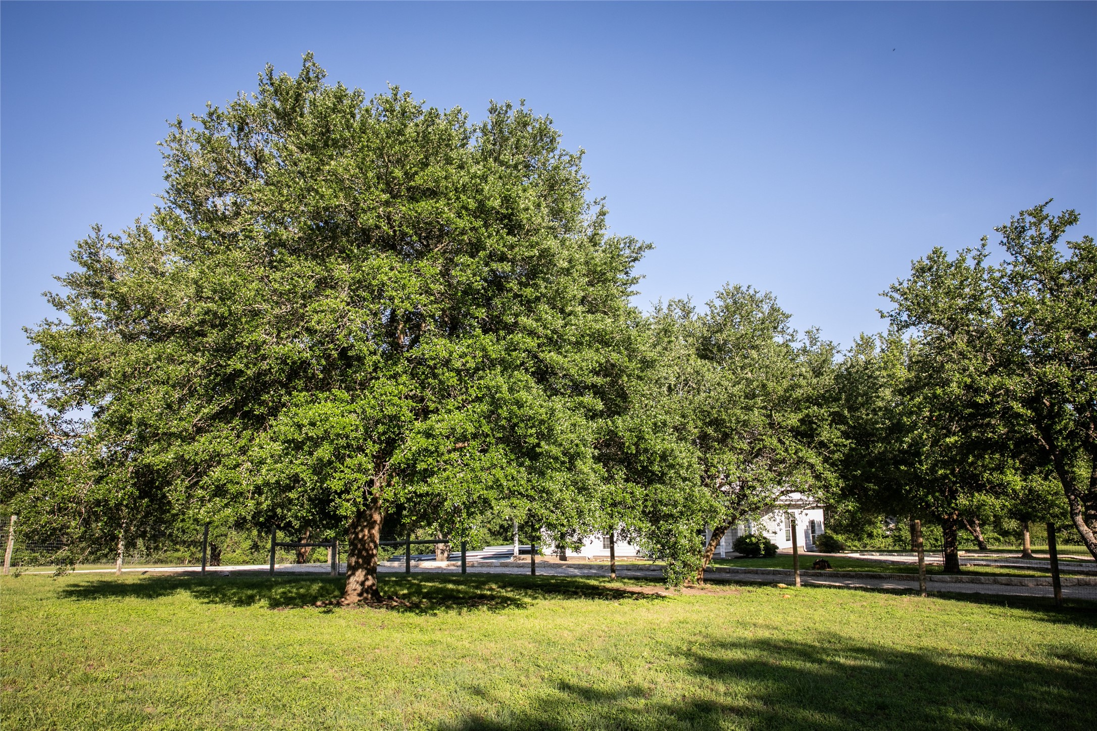 8660 Cedar Hill Road Brenham, TX 77833 - Photo 43 of 45