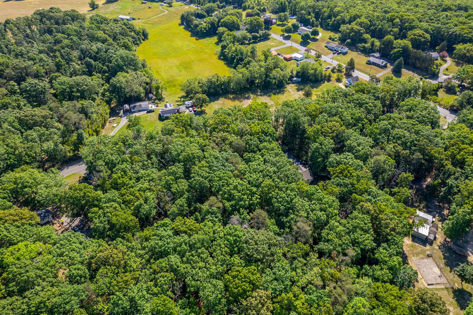 164 Clarks Pond Road Bridgeton, NJ 08302 - Photo 19 of 27 Lush greenery surrounds serene homes.