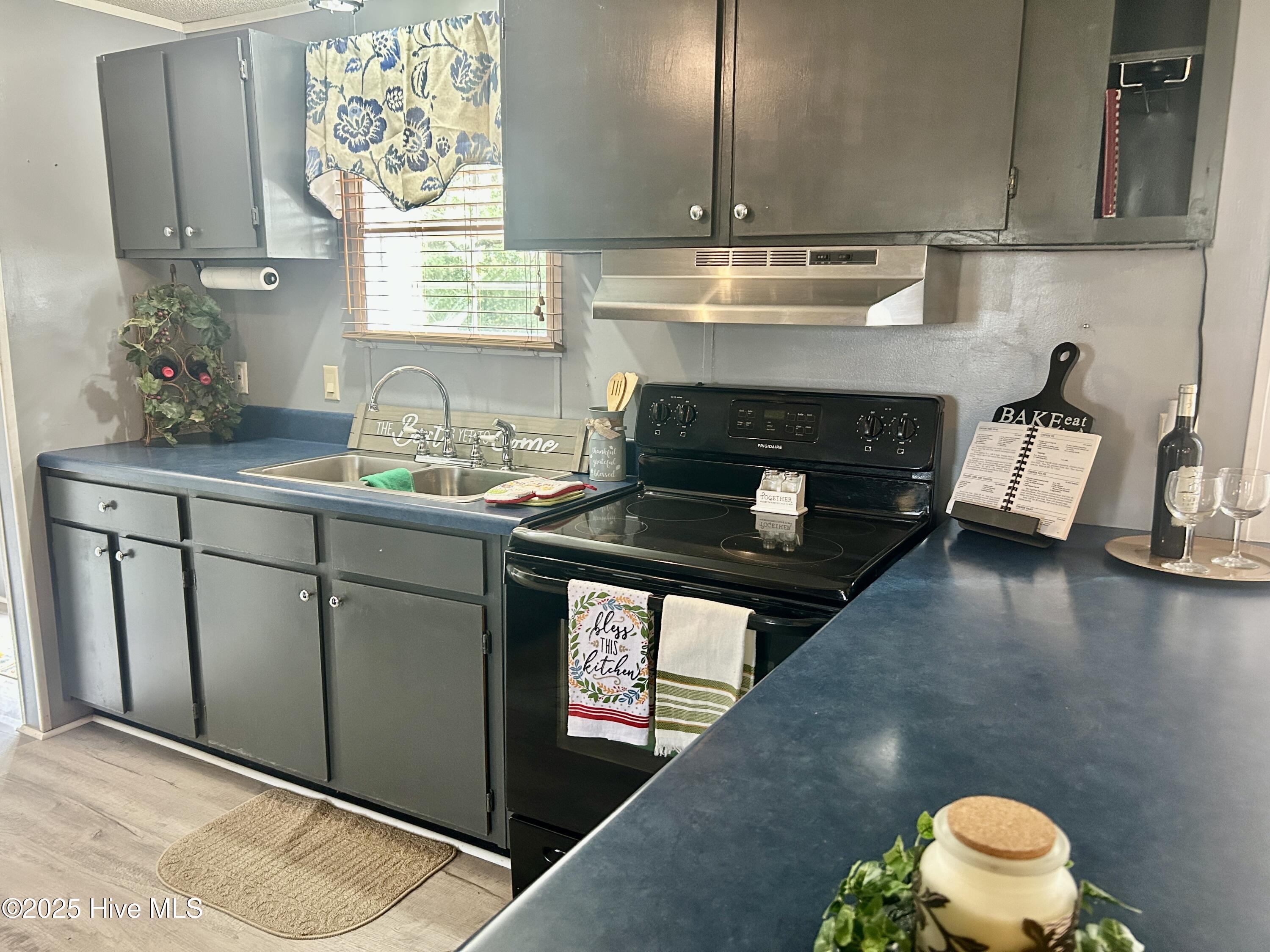 101 Dudley Farm Road Scotland Neck, NC 27874 - Photo 12 of 45 kitchen view