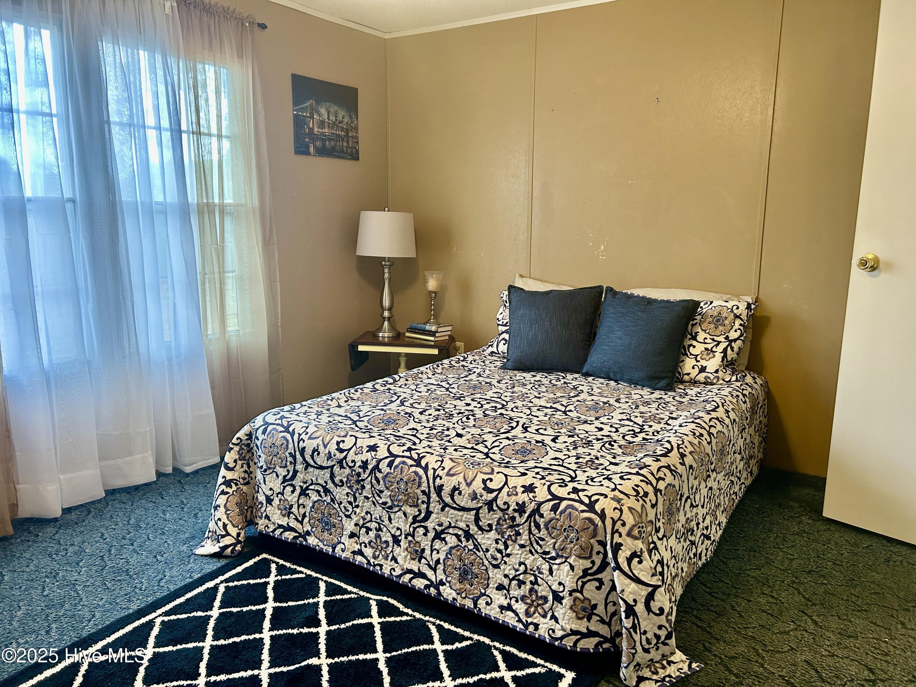 101 Dudley Farm Road Scotland Neck, NC 27874 - Photo 17 of 45 primary bedroom