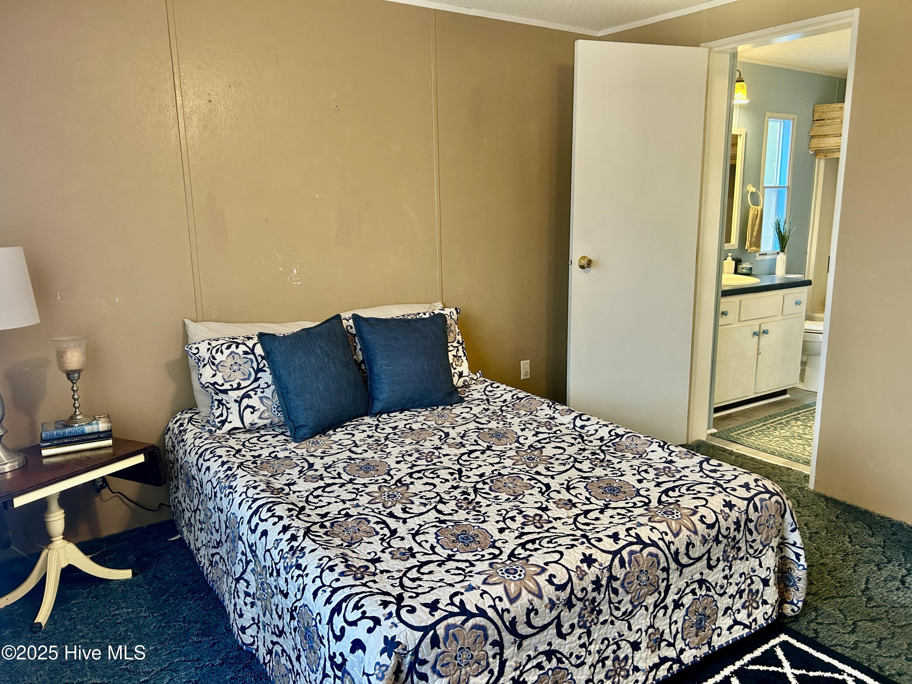 101 Dudley Farm Road Scotland Neck, NC 27874 - Photo 18 of 45 primary bedroom