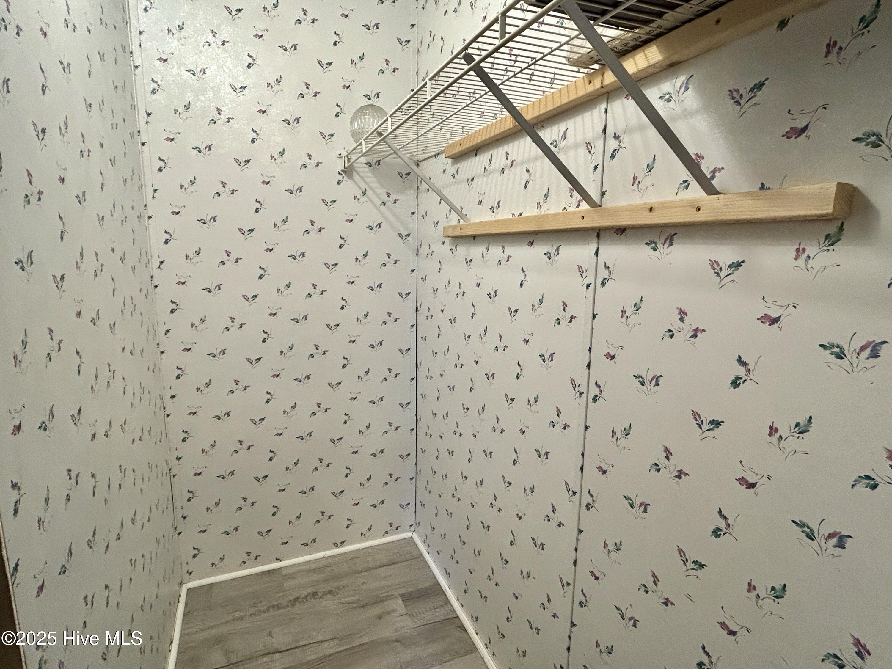 101 Dudley Farm Road Scotland Neck, NC 27874 - Photo 22 of 45 primary, walk-in closet