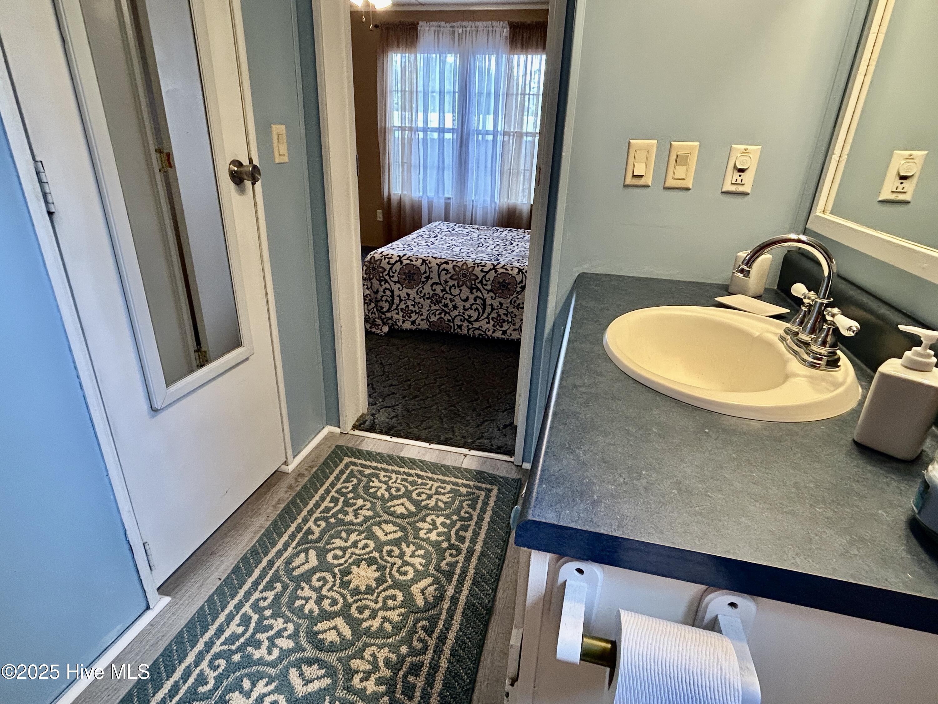101 Dudley Farm Road Scotland Neck, NC 27874 - Photo 23 of 45 primary bath looking into MBR