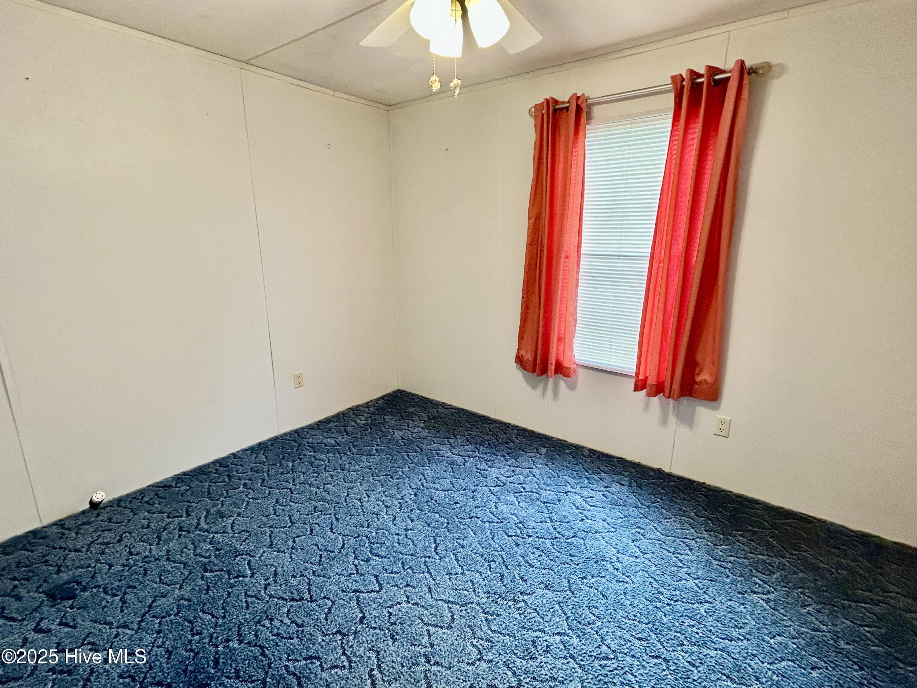 101 Dudley Farm Road Scotland Neck, NC 27874 - Photo 27 of 45 bedroom 3, back right