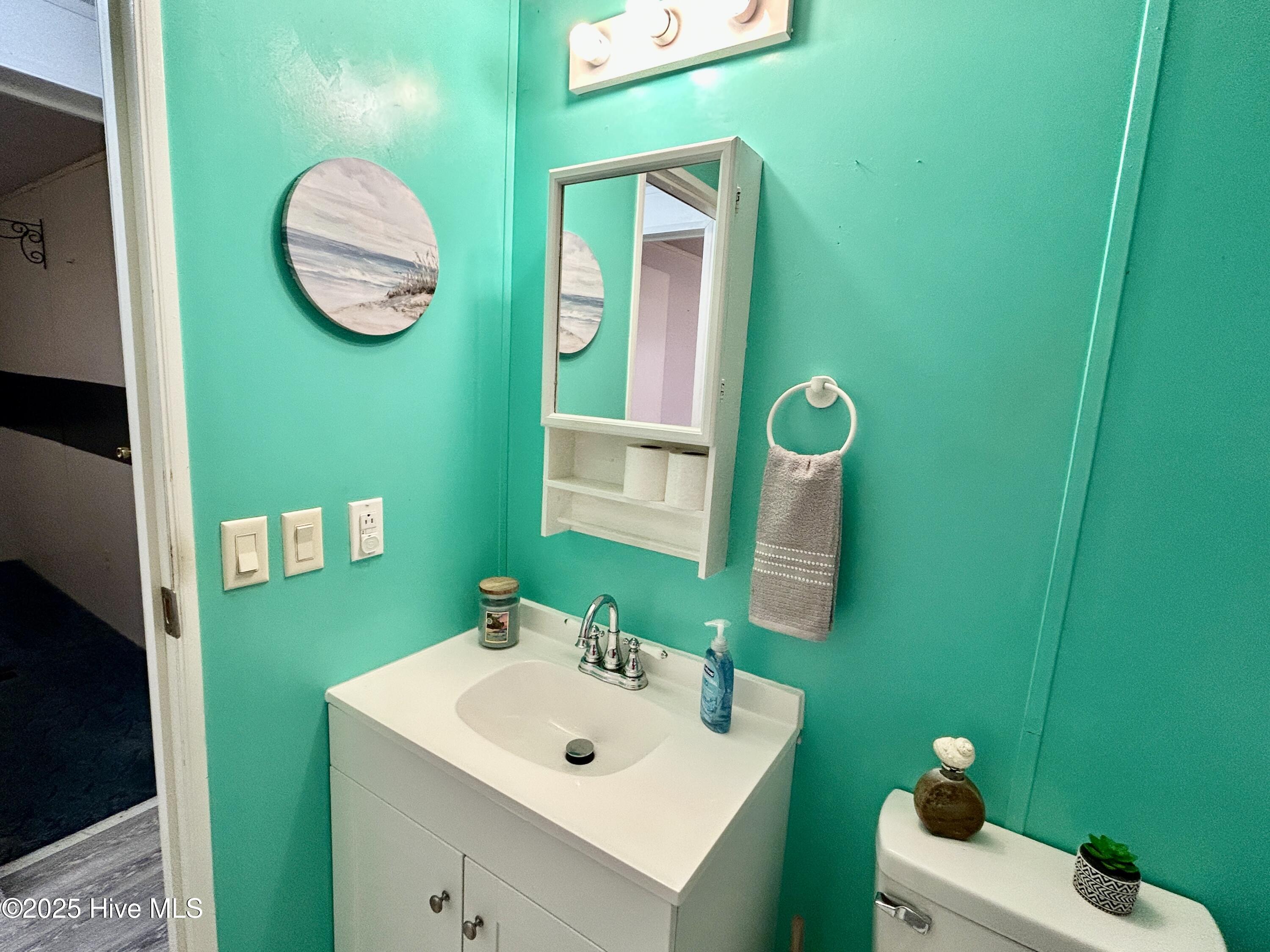 101 Dudley Farm Road Scotland Neck, NC 27874 - Photo 31 of 45 hall bath