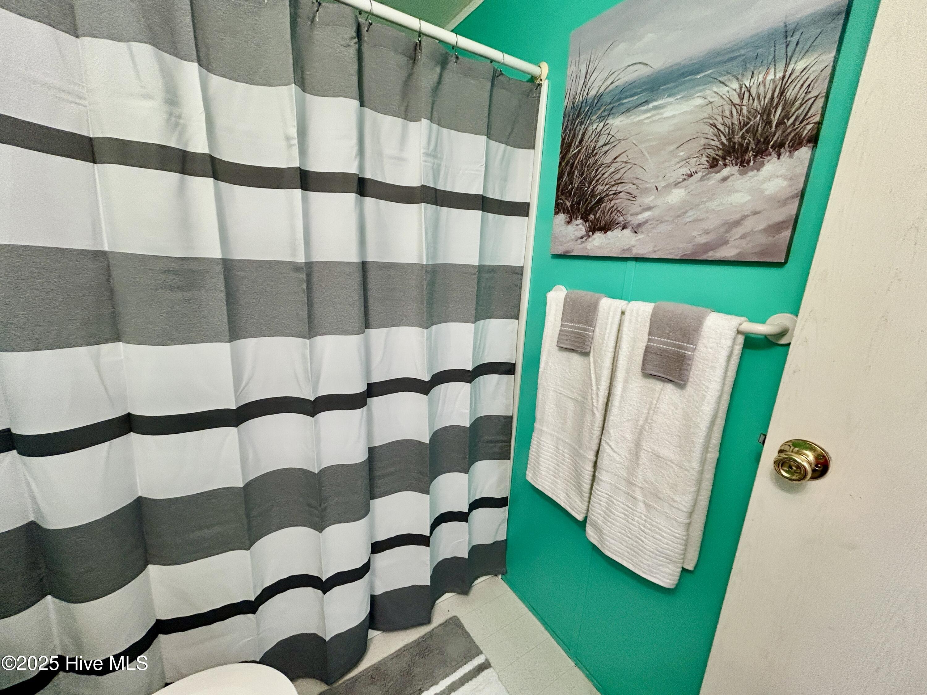 101 Dudley Farm Road Scotland Neck, NC 27874 - Photo 32 of 45 hall bath