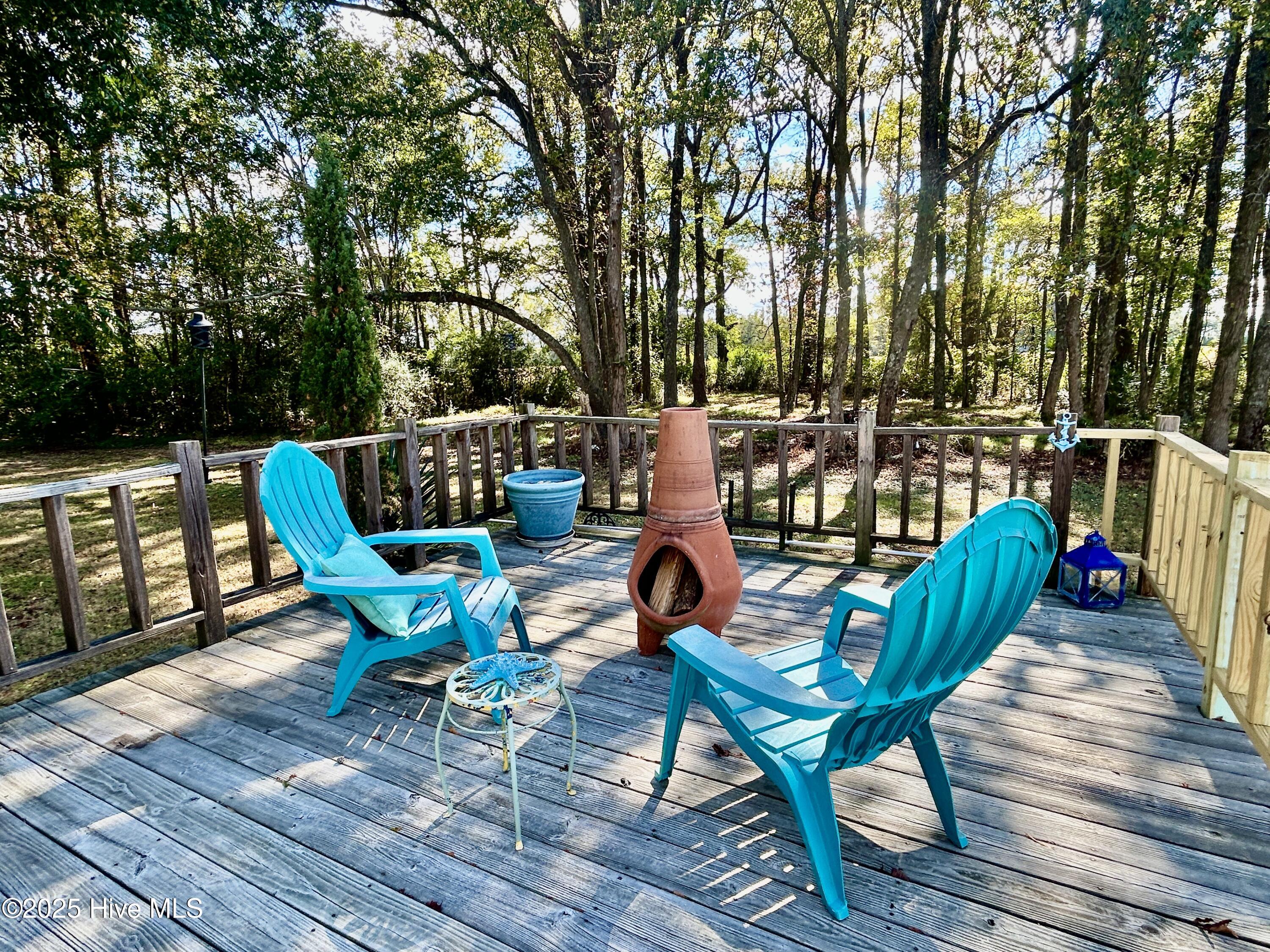 101 Dudley Farm Road Scotland Neck, NC 27874 - Photo 34 of 45 back deck with railings with view parcel 3, wooded lot