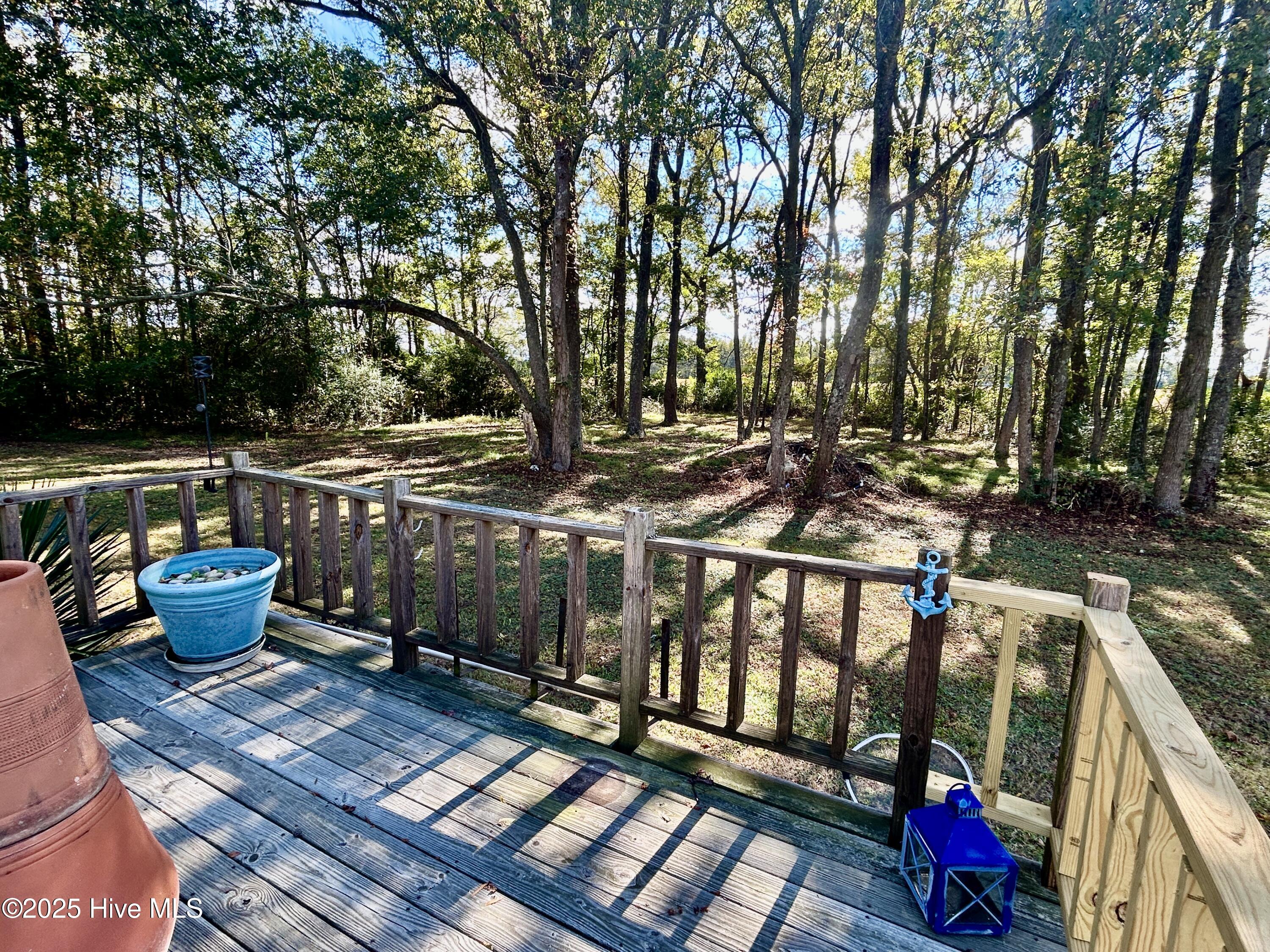 101 Dudley Farm Road Scotland Neck, NC 27874 - Photo 35 of 45 view of INCLUDED wooded lot to the right of 101 Dudley Farm