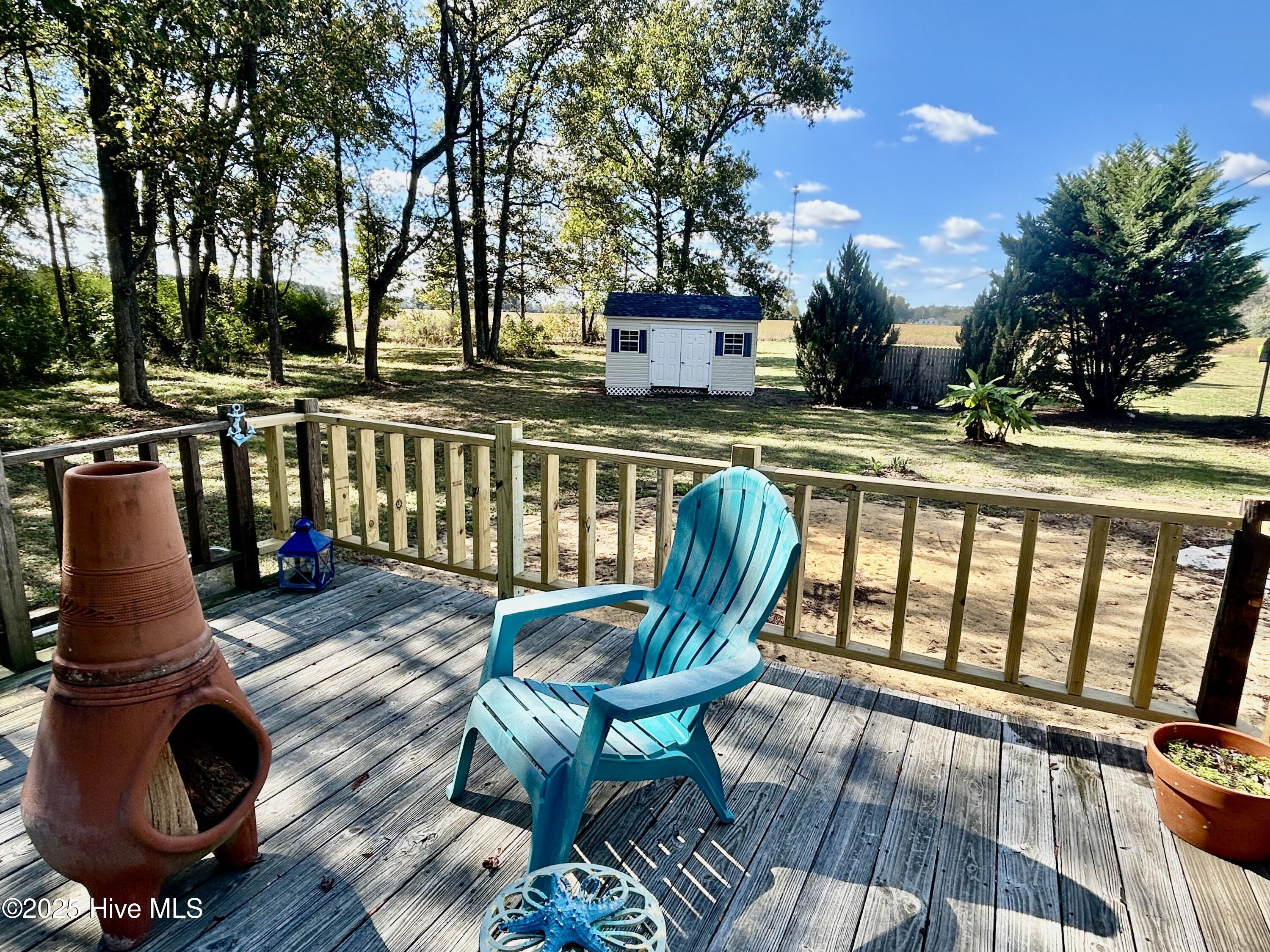 101 Dudley Farm Road Scotland Neck, NC 27874 - Photo 37 of 45 back deck showing storage building