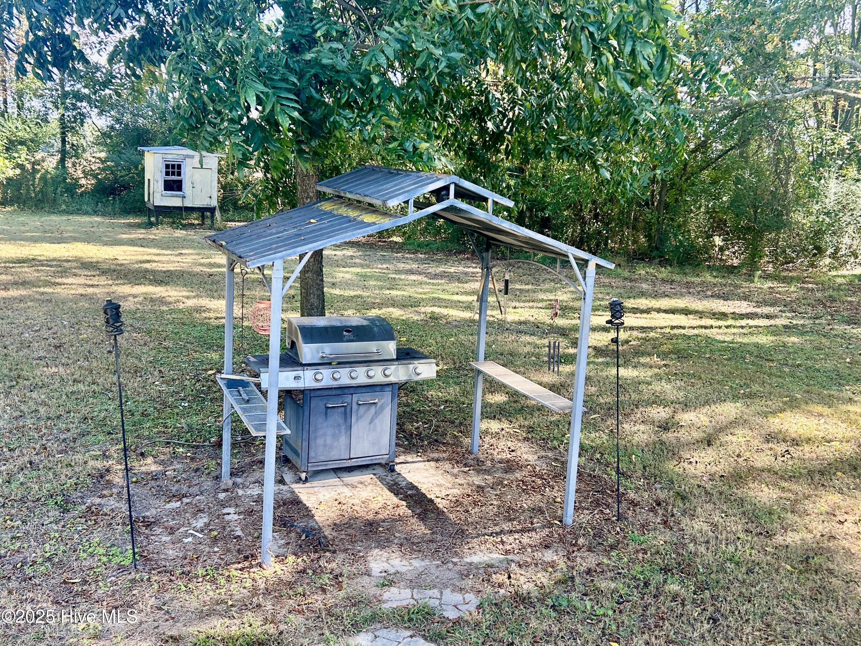 101 Dudley Farm Road Scotland Neck, NC 27874 - Photo 42 of 45 covered grill area