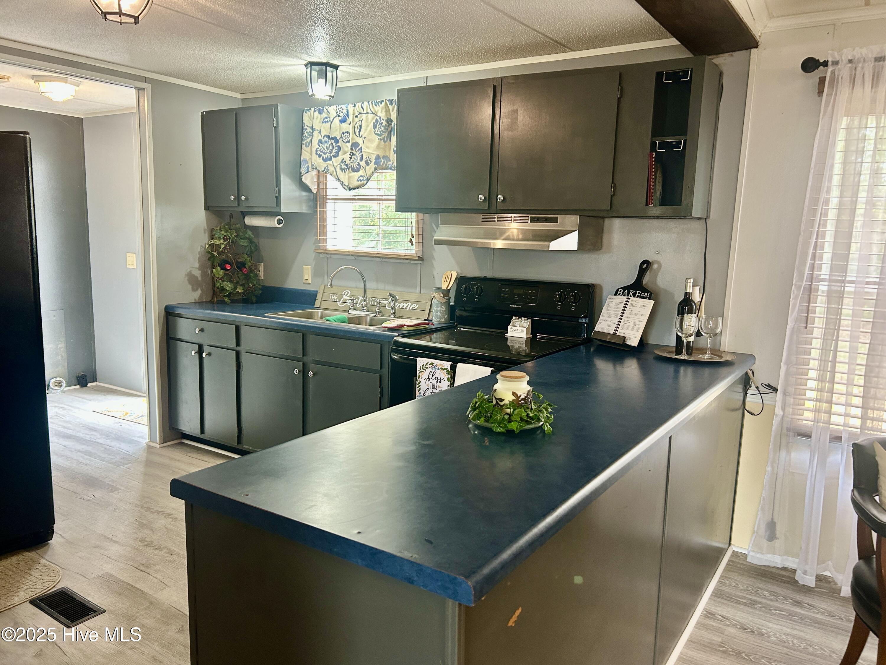 101 Dudley Farm Road Scotland Neck, NC 27874 - Photo 10 of 45 kitchen view from living room