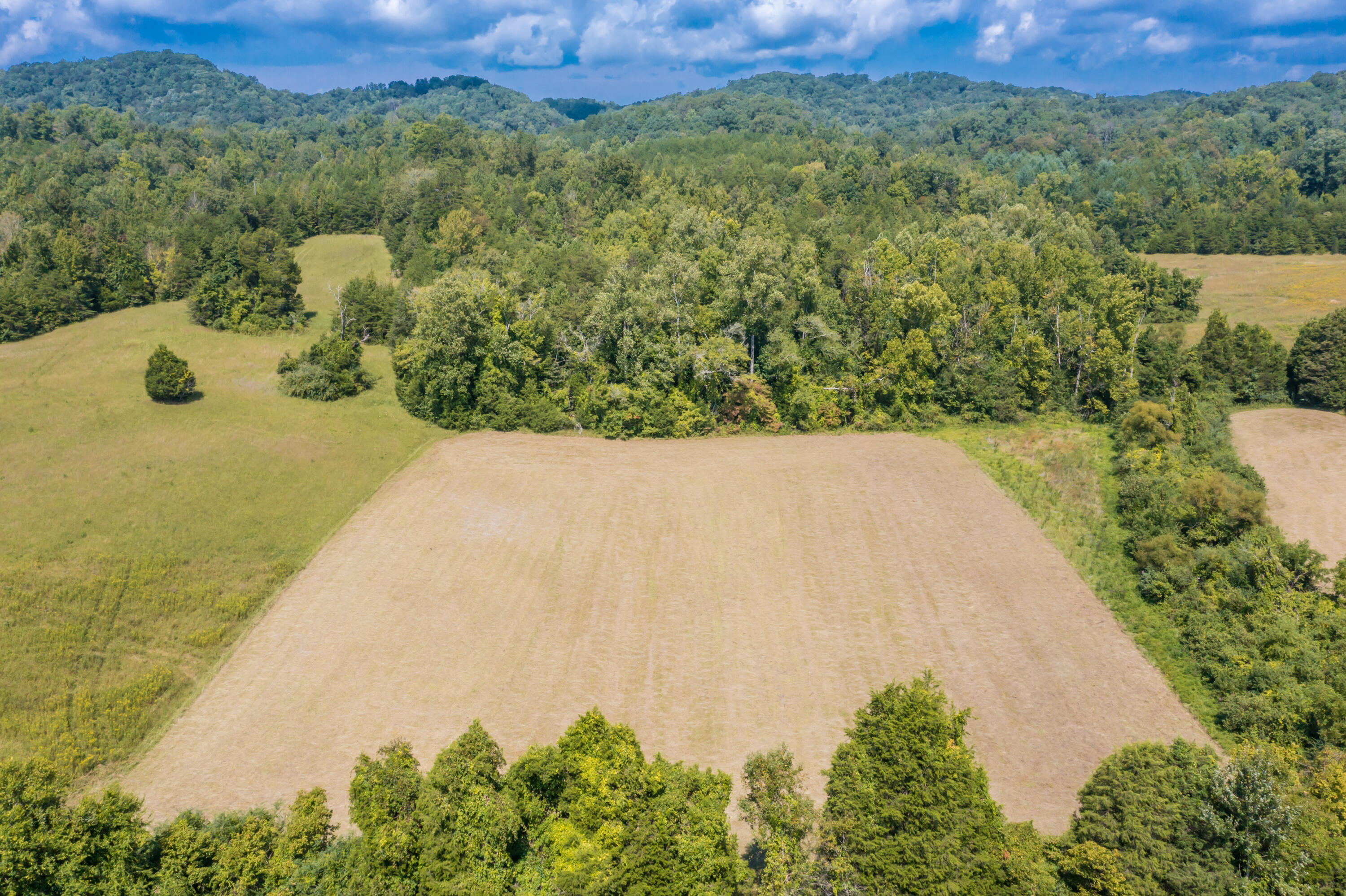 Brushy Valley Road Heiskell, TN 37754 - Photo 13 of 27 BrushyValleyRoad