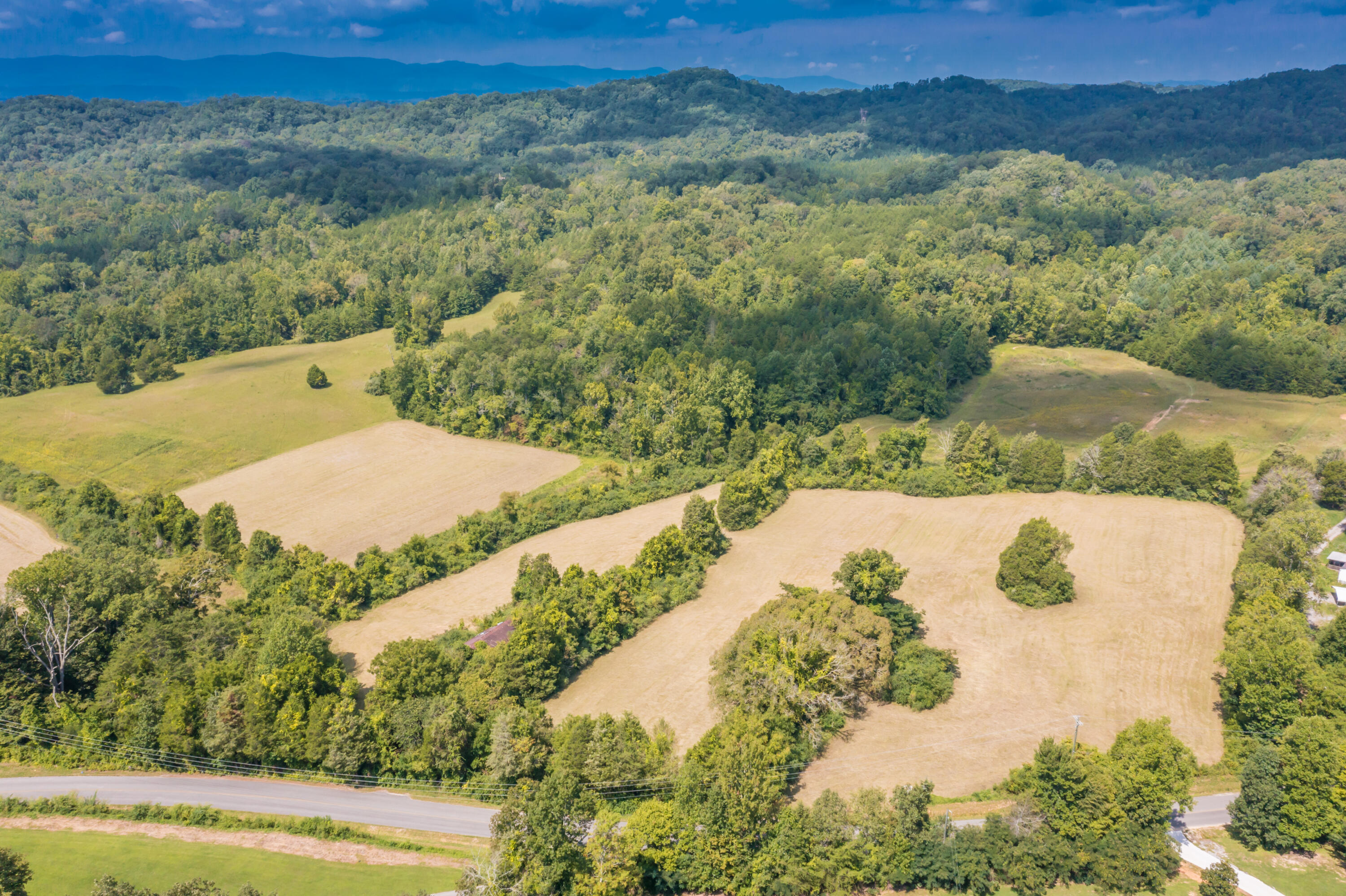 Brushy Valley Road Heiskell, TN 37754 - Photo 4 of 27 Entrance from road