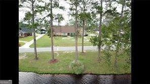 a view of a garden from a tree