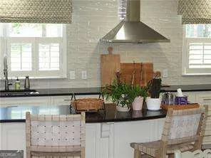 a kitchen with a potted plant on the counter and cabinets