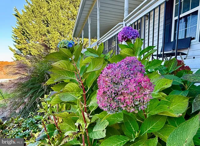 $499,000 | 67 Reynolds Court, Front Royal, VA 22630