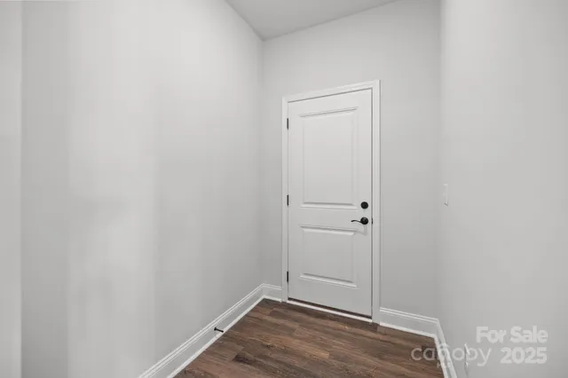 a view of a plant with a tree