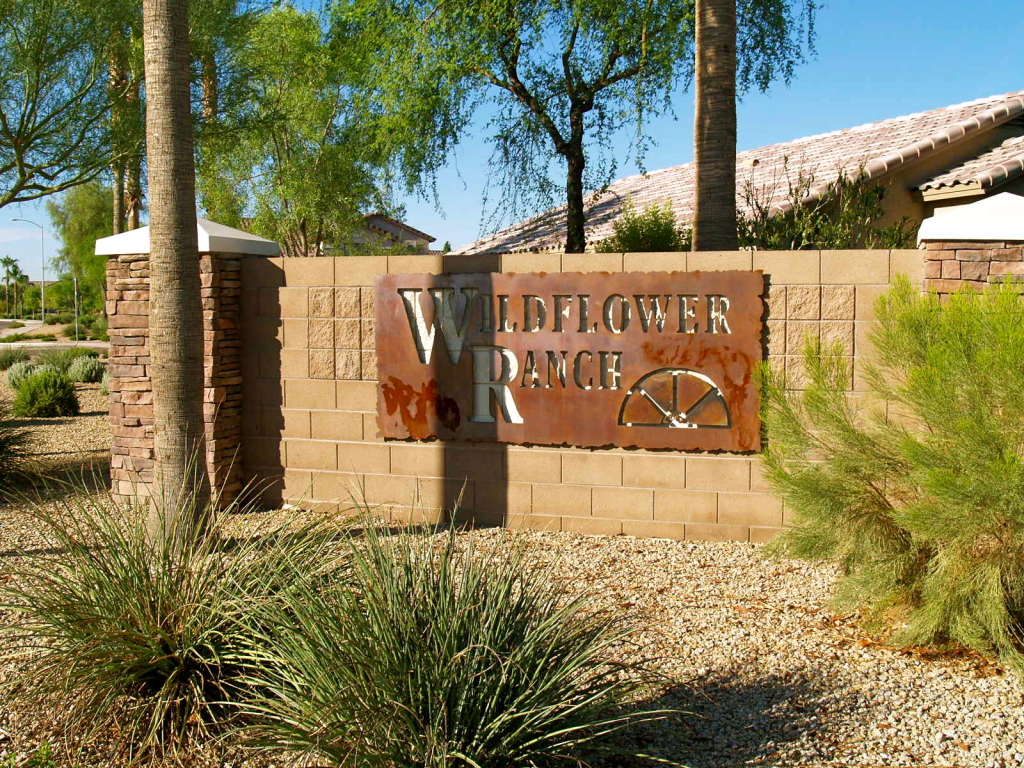 16246 West Adams Street Goodyear, AZ 85338 - Photo 1 of 21 Gate