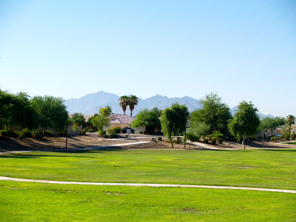 16246 West Adams Street Goodyear, AZ 85338 - Photo 18 of 21 Mountain Views