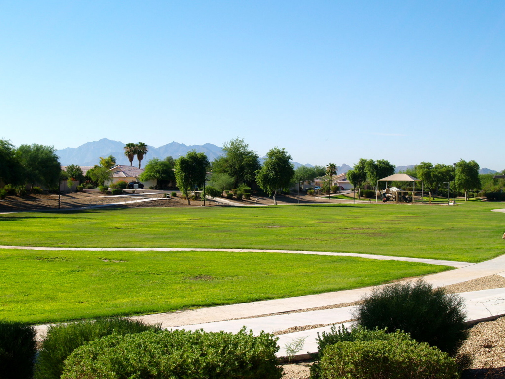 16246 West Adams Street Goodyear, AZ 85338 - Photo 2 of 21 Mountain Views