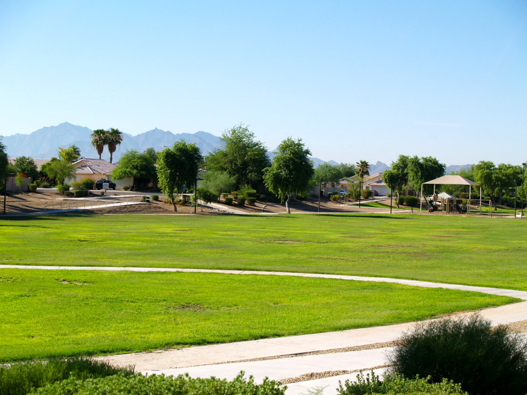 16246 West Adams Street Goodyear, AZ 85338 - Photo 21 of 21 Mountains 2