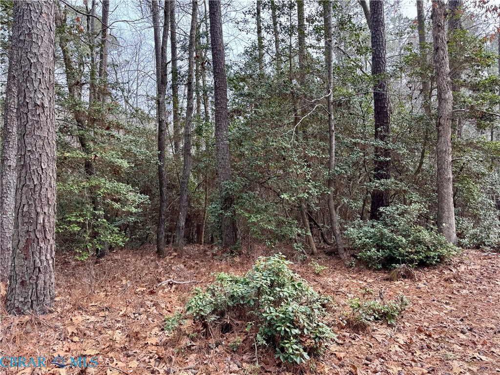 Lot 270-276 Ridge Road Lancaster, VA 22503 - Photo 2 of 3