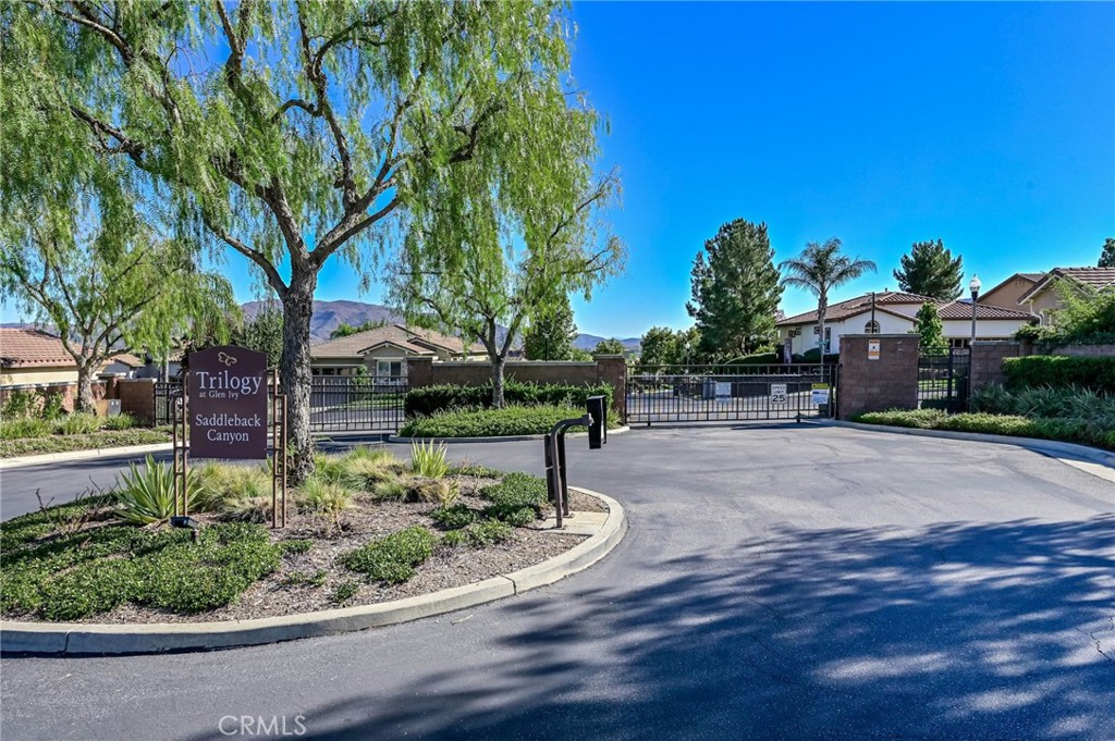 9141 Filaree Court Corona, CA 92883 - Photo 37 of 54 a view of a garden with plants