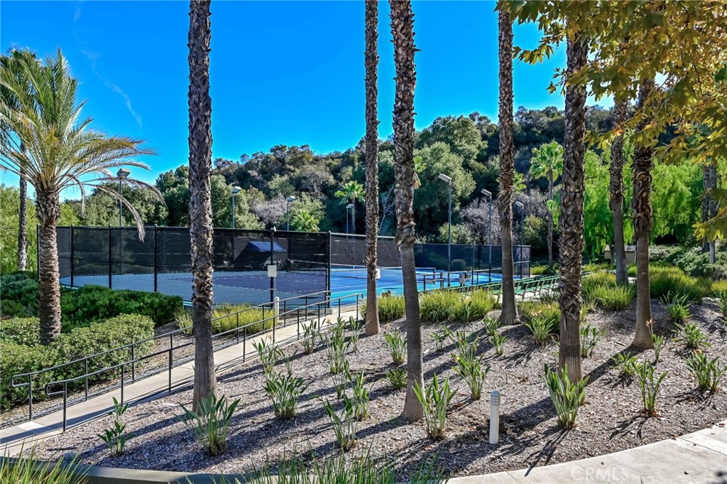 9141 Filaree Court Corona, CA 92883 - Photo 49 of 54 a view of a backyard