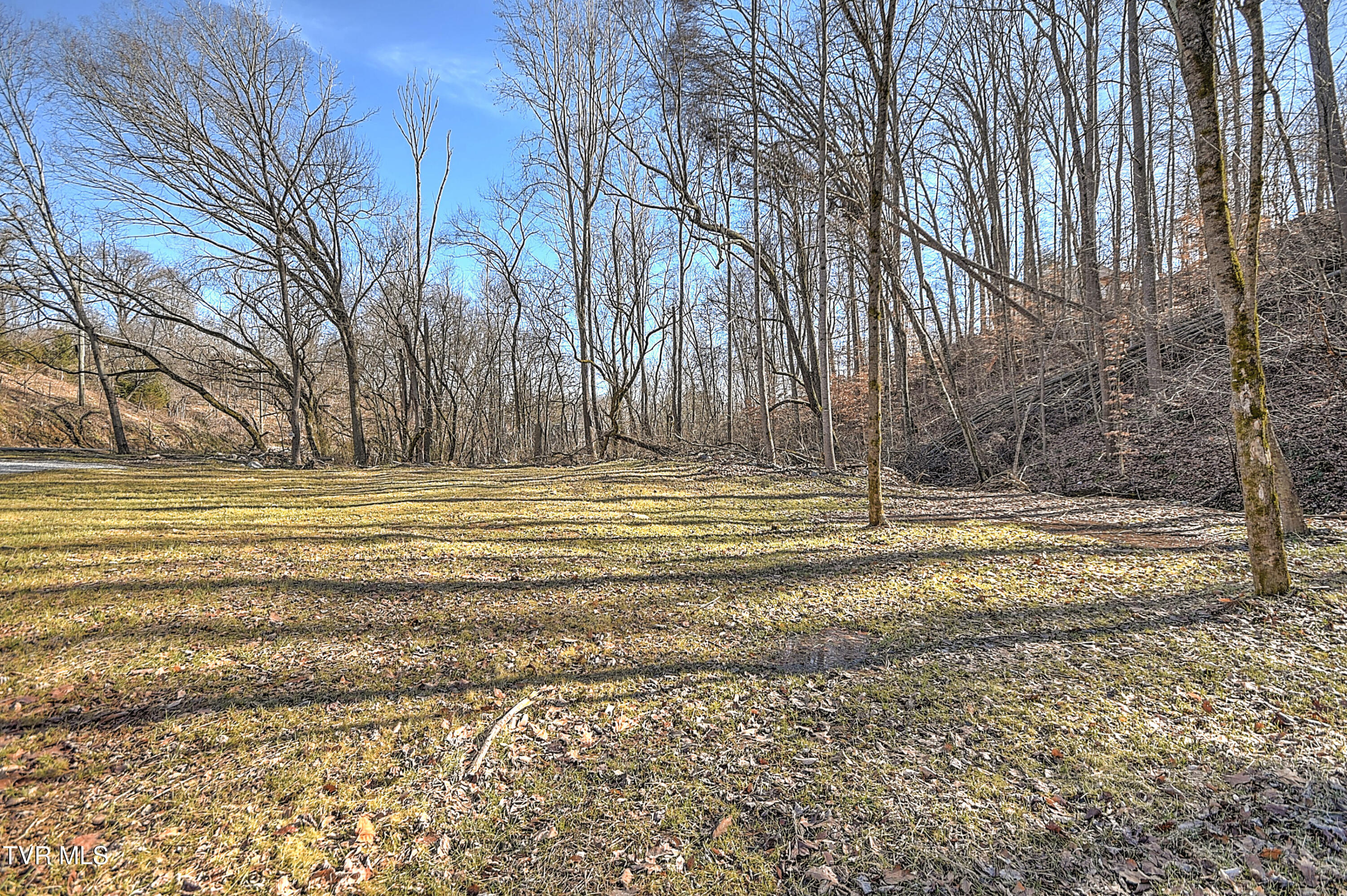 531 Walnut Hill Road Bristol, TN 37620 - Photo 23 of 32 Lot Expanse
