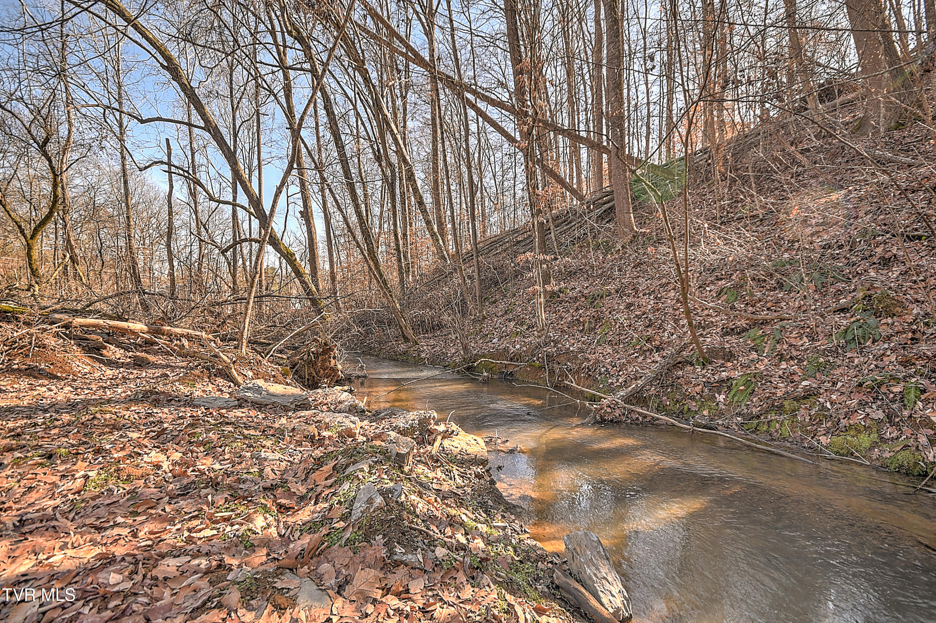 531 Walnut Hill Road Bristol, TN 37620 - Photo 24 of 32 Creek