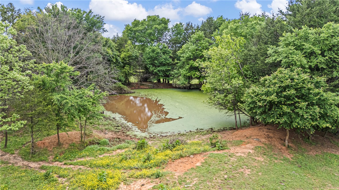 0 Wire Road Mulberry, AR 72947 - Photo 25 of 31 Natural pond surrounded by mature deciduous trees and varied vegetation