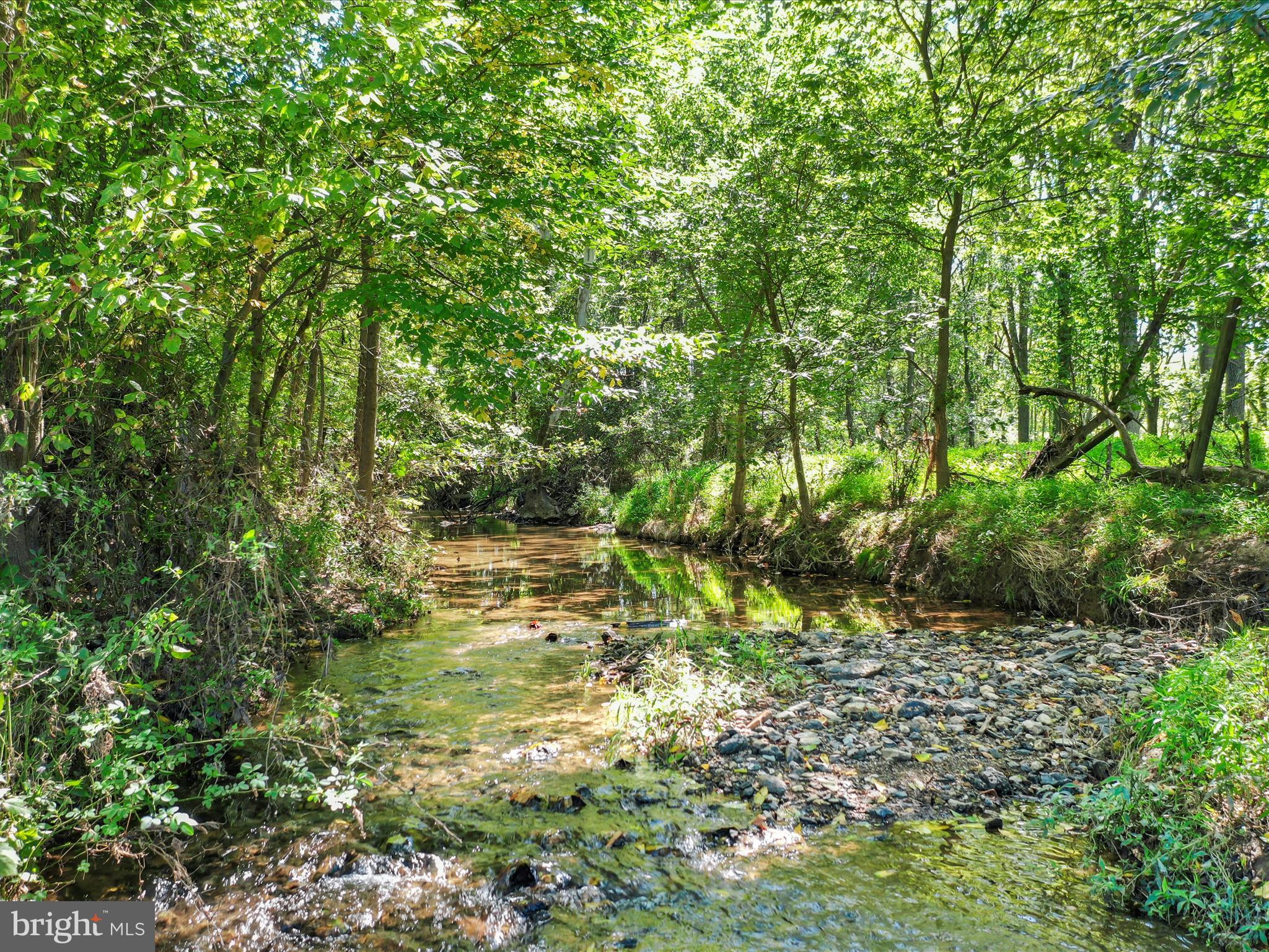 11721 Weller Road Monrovia, MD 21770 - Photo 53 of 55 Area in front full of nature and views