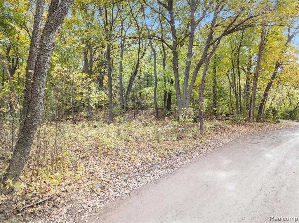0 Foster Road Pontiac, MI 48342 - Photo 3 of 10