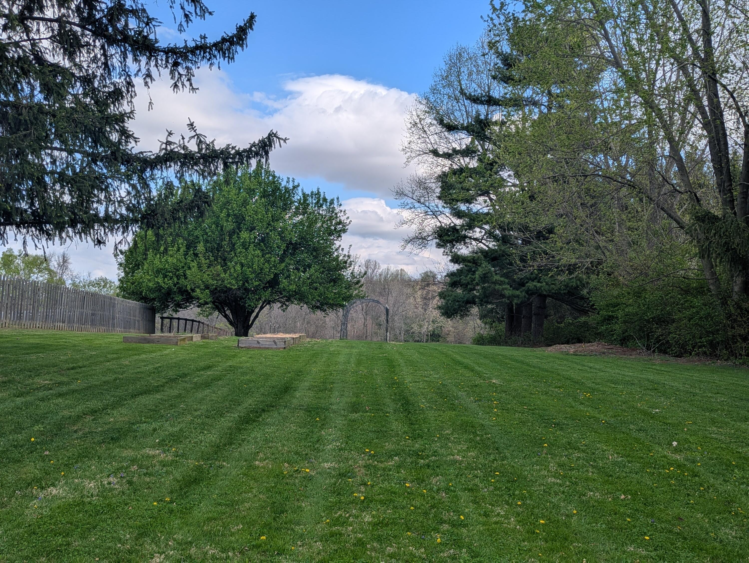 1042 Willow Road Springfield, OH 45502 - Photo 14 of 15 PXL_20260413_145941862.MP