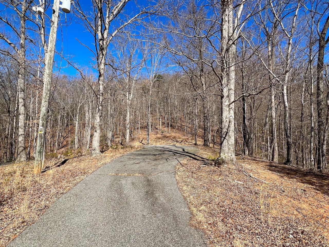 0 Brammer Spur Road Woolwine, VA 24185 - Photo 15 of 39 Gallery Image 15