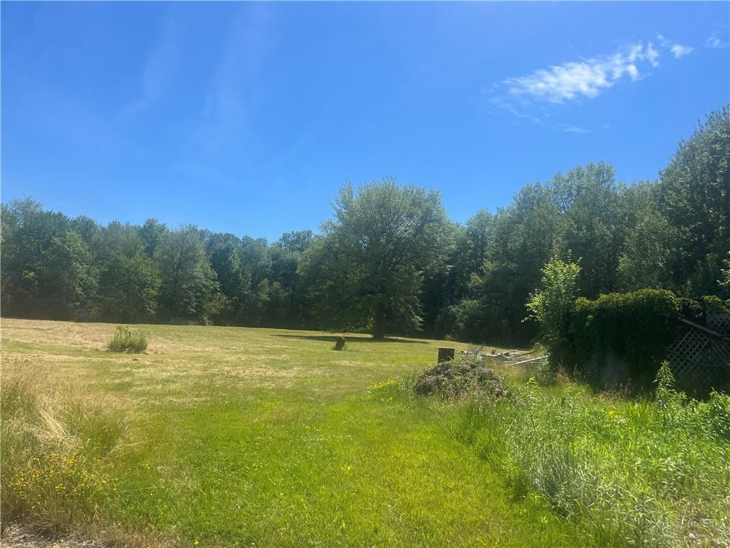 238 Lasher Road Tivoli, NY 12583 - Photo 11 of 11 View of mother earth's splendor with a rural view