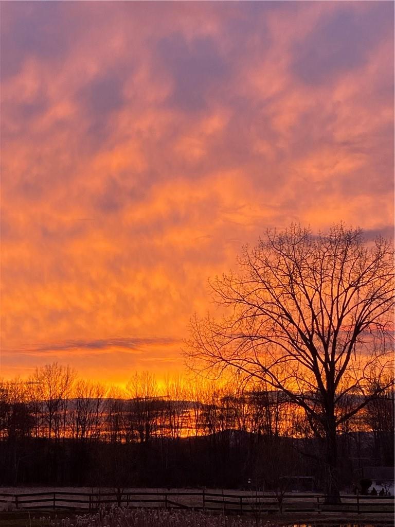 238 Lasher Road Tivoli, NY 12583 - Photo 5 of 11