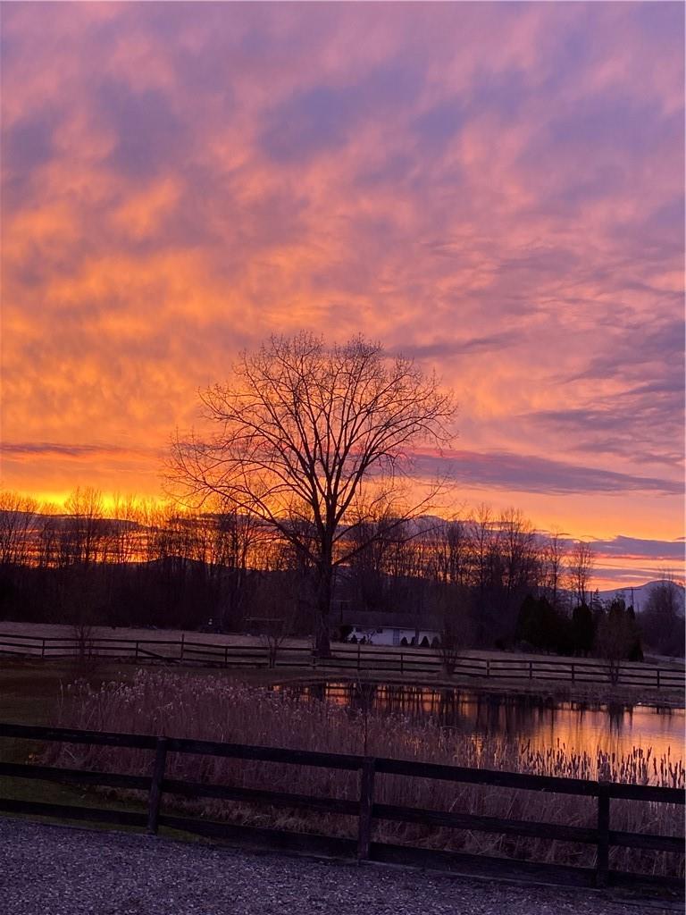 238 Lasher Road Tivoli, NY 12583 - Photo 9 of 11 View of yard with a rural view