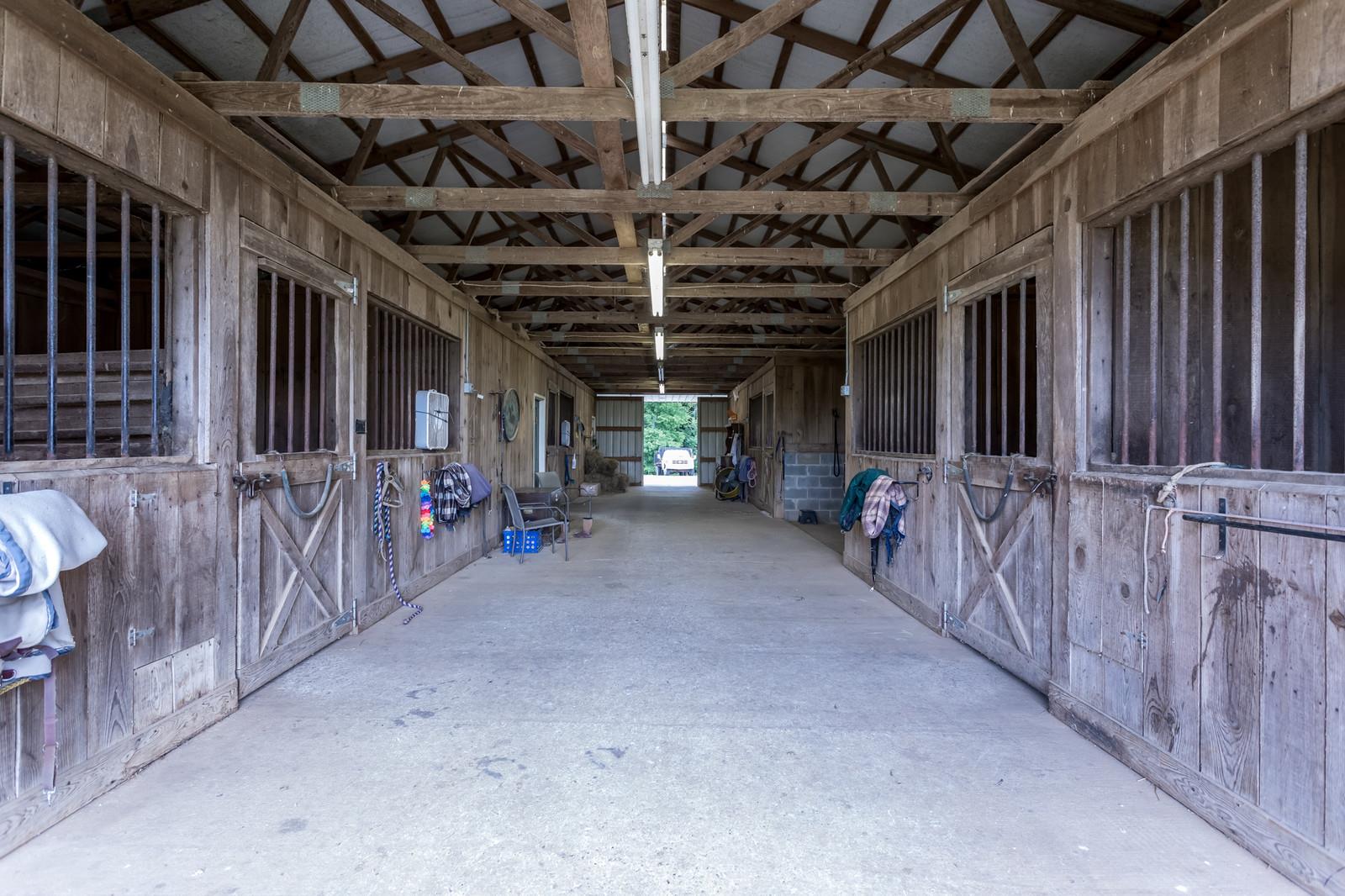 3801 Lake Road Woodlawn, TN 37191 - Photo 12 of 23 Main Barn Has 6 Stalls, Feed Room, Washer/Dryer, & More!