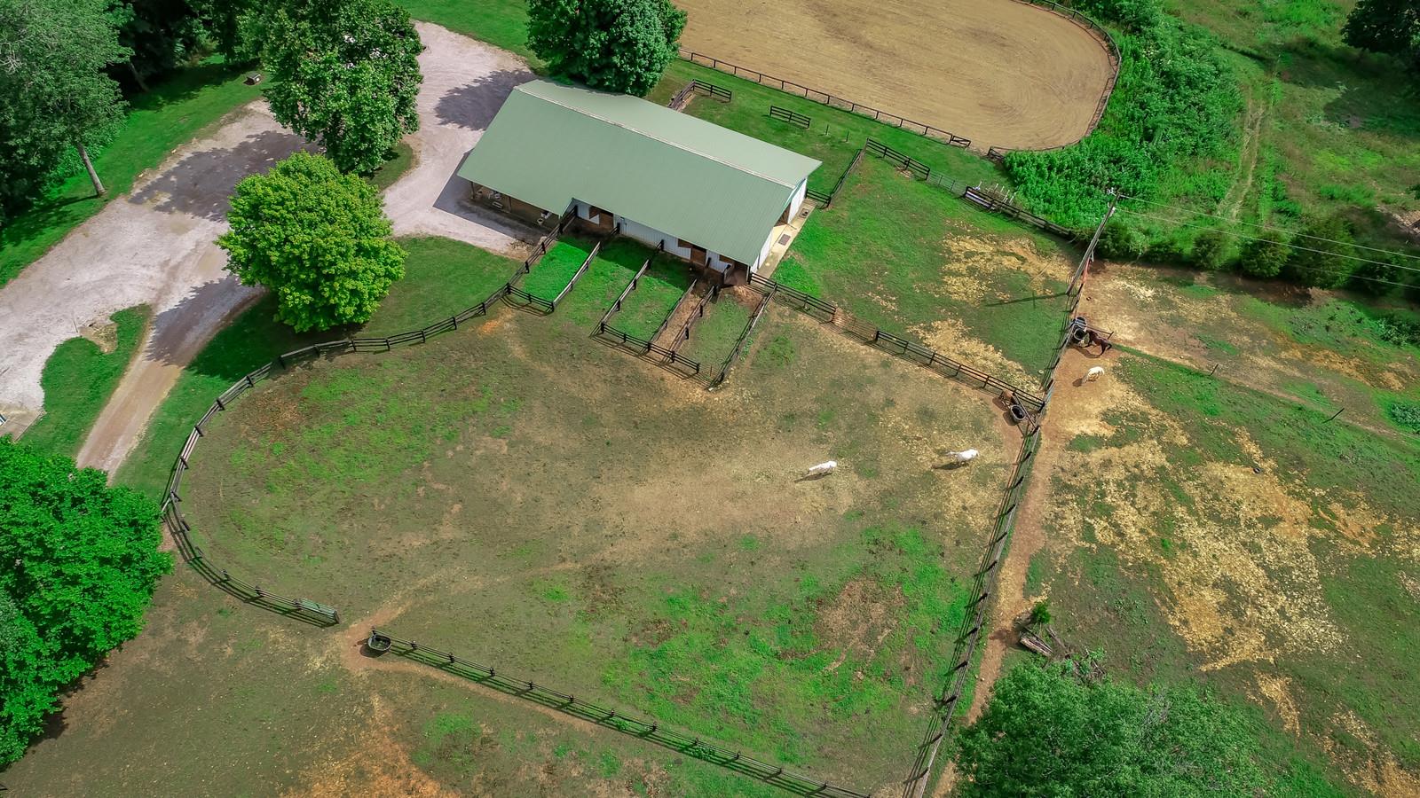 3801 Lake Road Woodlawn, TN 37191 - Photo 23 of 23 With Plenty Of Room To Roam, Bring All Your Animals!